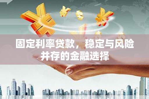 南康固定利率贷款，稳定与风险并存的金融选择