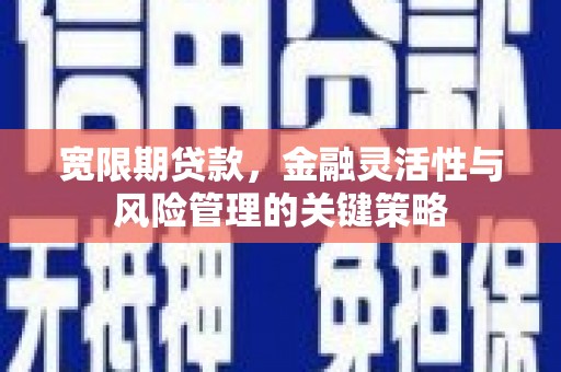 南康宽限期贷款，金融灵活性与风险管理的关键策略