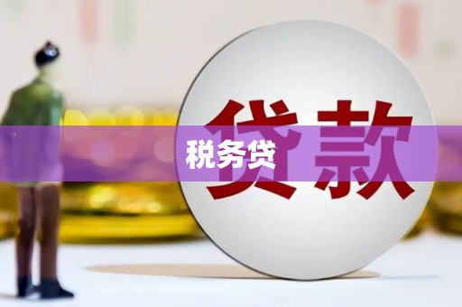 南康税务贷