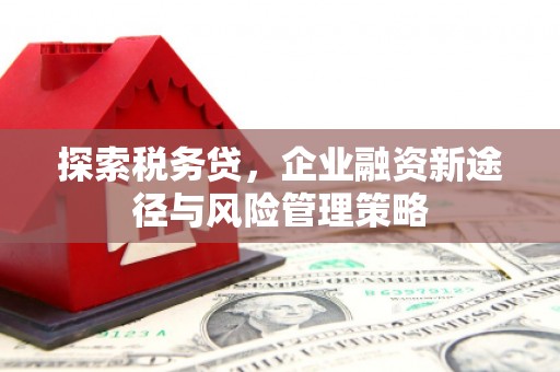 南康探索税务贷，企业融资新途径与风险管理策略