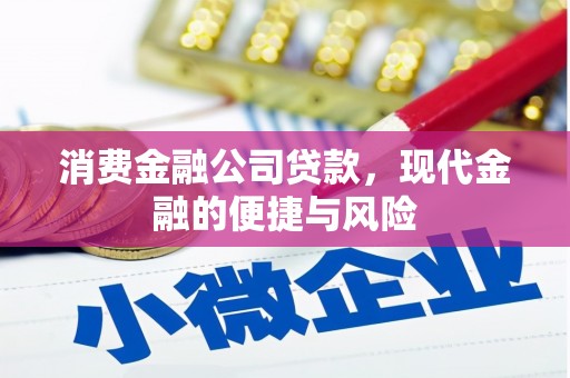 南康消费金融公司贷款，现代金融的便捷与风险