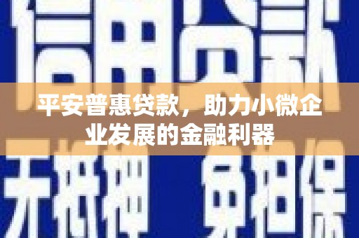 南康平安普惠贷款，助力小微企业发展的金融利器