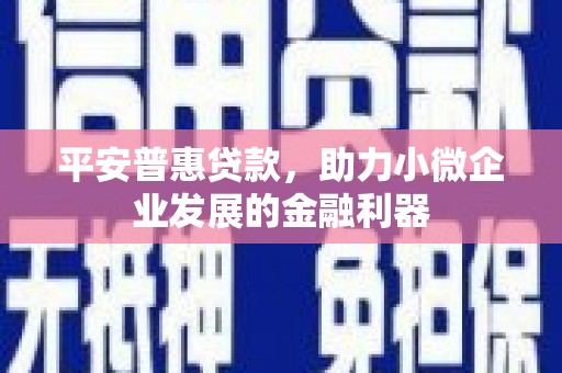 南康平安普惠贷款，助力小微企业发展的金融利器