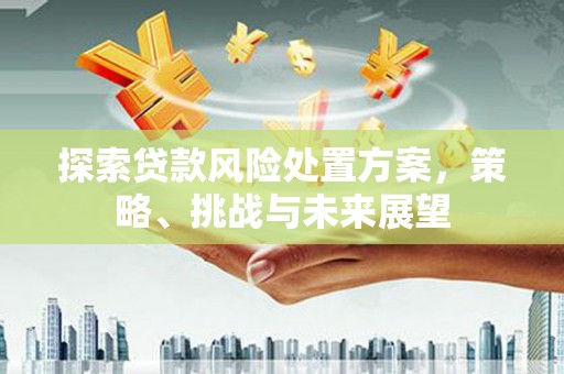 南康探索贷款风险处置方案，策略、挑战与未来展望