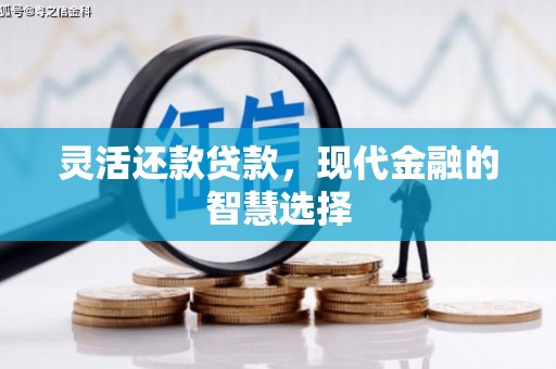 南康灵活还款贷款，现代金融的智慧选择