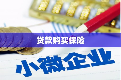 南康贷款购买保险