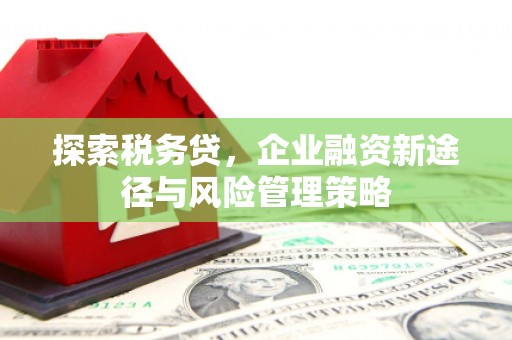南康探索税务贷，企业融资新途径与风险管理策略