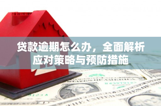 南康贷款逾期怎么办，全面解析应对策略与预防措施