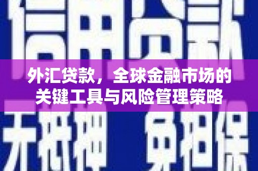 南康外汇贷款，全球金融市场的关键工具与风险管理策略