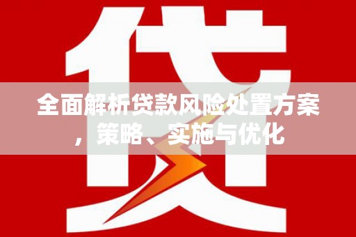 南康全面解析贷款风险处置方案，策略、实施与优化