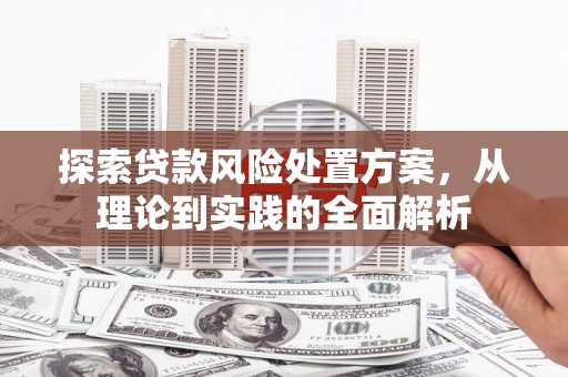 南康探索贷款风险处置方案，从理论到实践的全面解析
