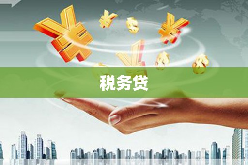 南康税务贷