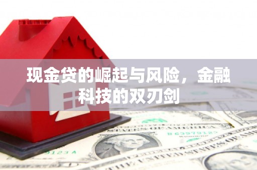 南康现金贷的崛起与风险，金融科技的双刃剑