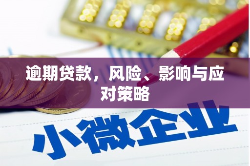 南康逾期贷款，风险、影响与应对策略