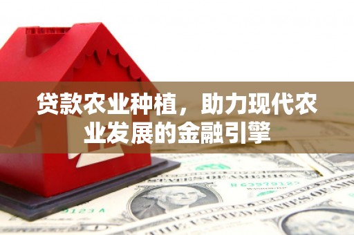 南康贷款农业种植，助力现代农业发展的金融引擎