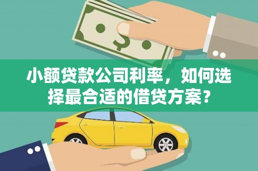 南康小额贷款公司利率，如何选择最合适的借贷方案？