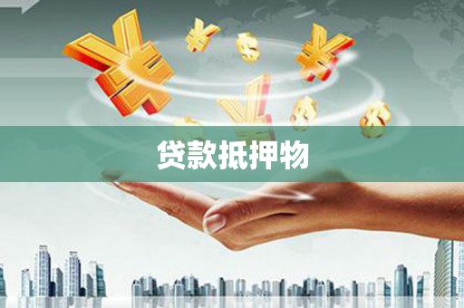 南康贷款抵押物