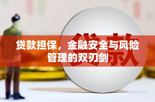南康贷款担保，金融安全与风险管理的双刃剑