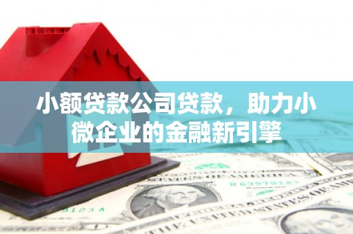 南康小额贷款公司贷款，助力小微企业的金融新引擎