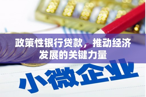 南康政策性银行贷款，推动经济发展的关键力量