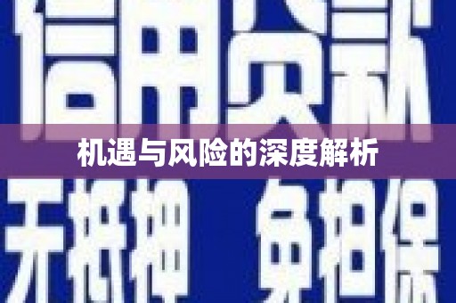 南康机遇与风险的深度解析