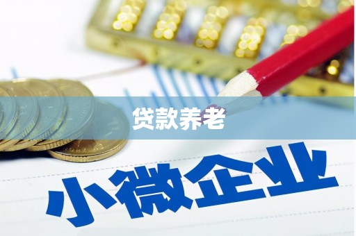 南康贷款养老