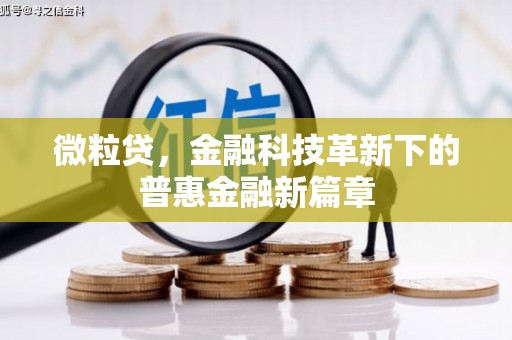 南康微粒贷，金融科技革新下的普惠金融新篇章