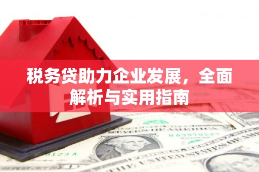 南康税务贷助力企业发展，全面解析与实用指南