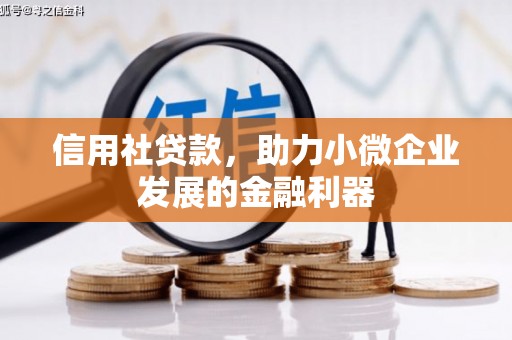 南康信用社贷款，助力小微企业发展的金融利器