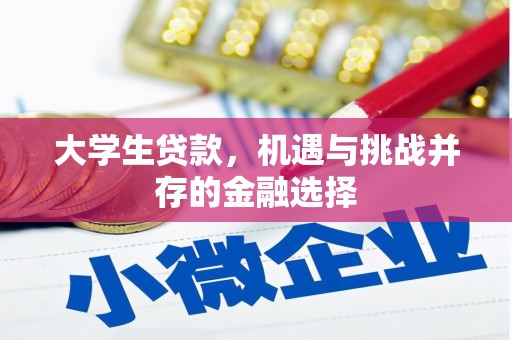 南康大学生贷款，机遇与挑战并存的金融选择