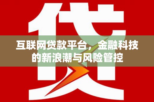 南康互联网贷款平台，金融科技的新浪潮与风险管控