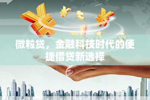 南康微粒贷，金融科技时代的便捷借贷新选择