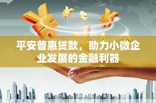 南康平安普惠贷款，助力小微企业发展的金融利器