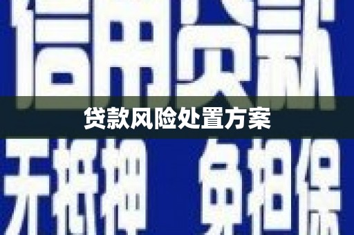 南康贷款风险处置方案