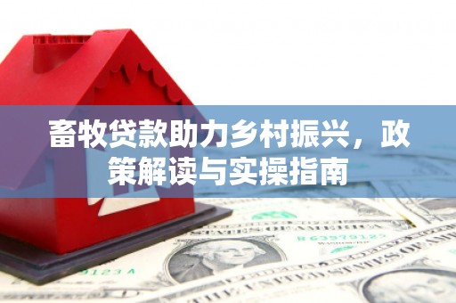 南康畜牧贷款助力乡村振兴，政策解读与实操指南