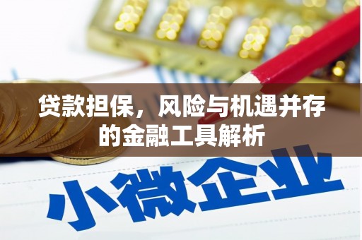 南康贷款担保，风险与机遇并存的金融工具解析