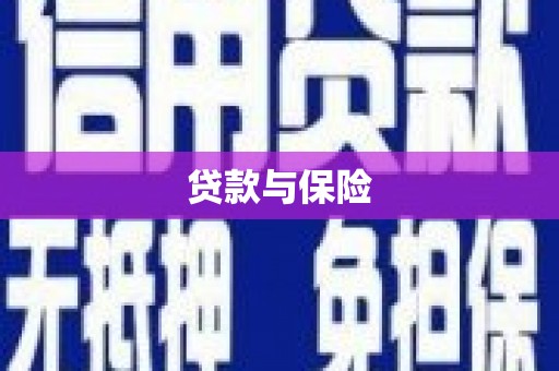 南康贷款与保险