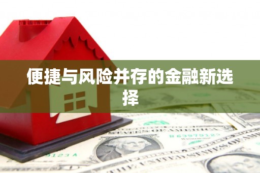 南康便捷与风险并存的金融新选择