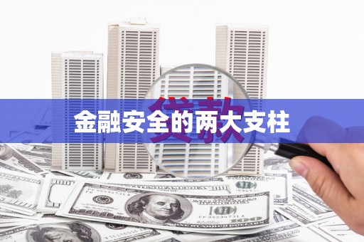 南康金融安全的两大支柱