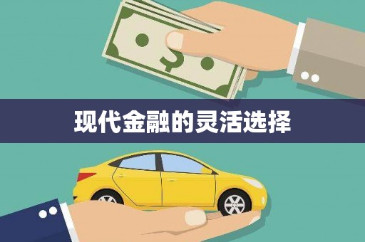 南康现代金融的灵活选择