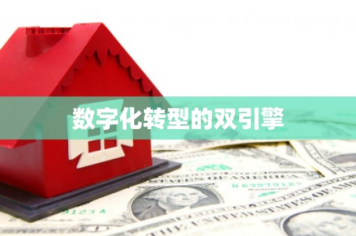 南康数字化转型的双引擎