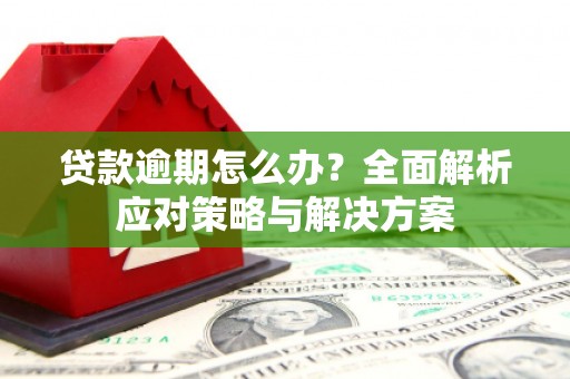 南康贷款逾期怎么办？全面解析应对策略与解决方案