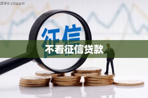 南康不看征信贷款