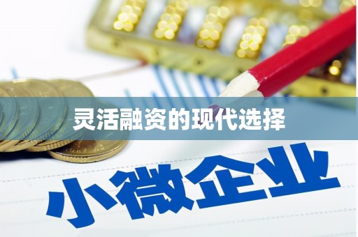 南康灵活融资的现代选择