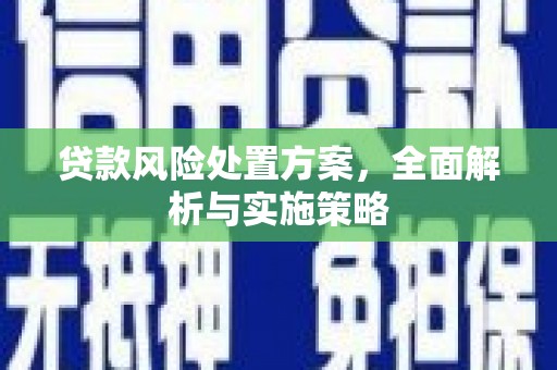 南康贷款风险处置方案，全面解析与实施策略
