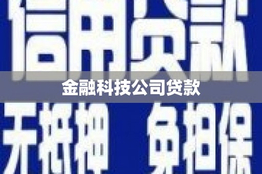 南康金融科技公司贷款