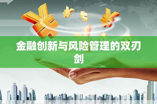 南康金融创新与风险管理的双刃剑