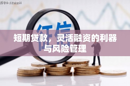 南康短期贷款，灵活融资的利器与风险管理