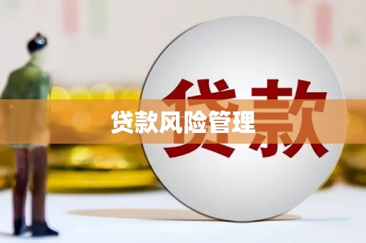 南康贷款风险管理