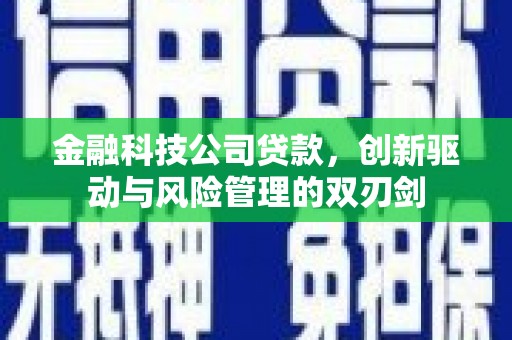 南康金融科技公司贷款，创新驱动与风险管理的双刃剑